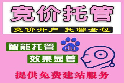 知名SEM代运营公司案例解析